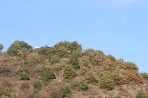 Monserrat - Image 2