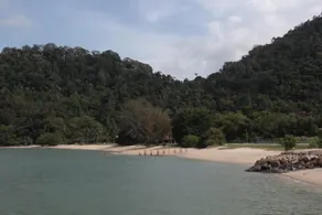 Casuarina @ Pangkor - Image 2