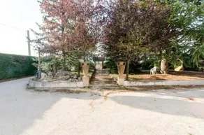 B&B La Volpara - Image 5