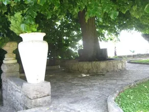 Villa Raisa - Image 3