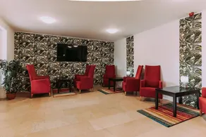 Pelso Wellness Hotel - Image 2