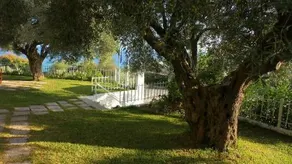 Studios Kaintas - Image 2