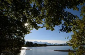 Landhaus Hohenschwangau - Image 2