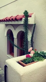 Olondio Apartments - Image 5