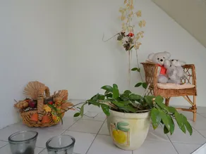Cozy Holiday Home in Kappe With Balcony - Image 4