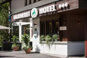 Hotel Falknerei Galina - Image 5