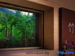 Longshan Village Zhuge Homestay - Image 3