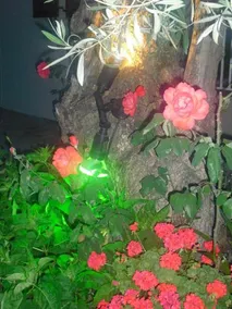 Guesthouse Aktaion - Image 4