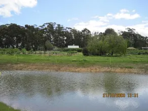 Pennyroyal Raspberry Farm & Cidery - Image 2