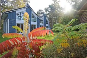 Strandhaus Traumland Mit Terrasse - Image 5