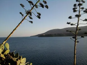 Albergo Romana - Image 4