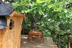 Voler Avec les Oiseaux - Image 2