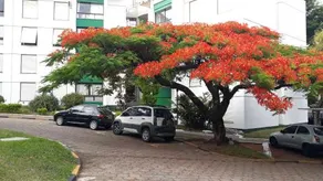 Apartamento Lindo - Image 3