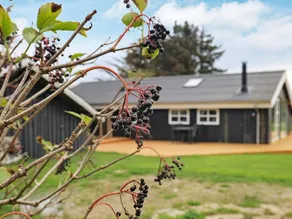 6 Person Holiday Home in Lokken - Image 5
