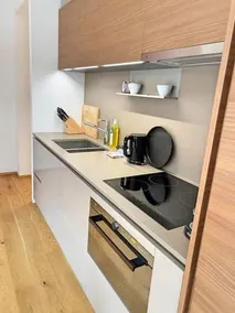 Luxury Mountain Hotel Apartment - Image 5