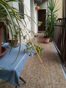 Viktoria B&B - Image 3