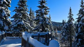 Le Bivouac - Les Chalets Spa Canada - Image 5