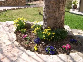 Moli Del Salt - Image 3