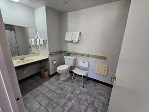 Americas Best Value Inn Brandon - Image 3
