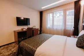 Ts Gold Business - Image 4