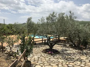 Group Accommodation in the Center of Sicily With Private Pool Alia - Image 2