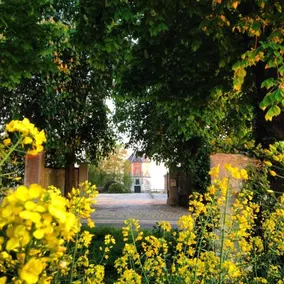 Le Grand Beauvoir - Image 5