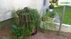 Apartamento Lindo - Image 5