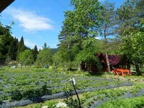 Yesilyayla Eko Turizm Konaklama - Image 4