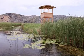 Robinson Neretva - Image 4