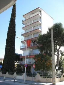 Estudis Àfrica - Image 4