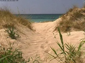 Il Sole Del Salento - Image 4