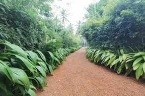 Lanka Lake Villa, Bolgoda - Image 3