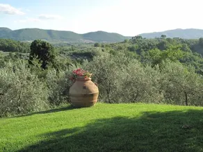 Casa degli ulivi Villa with private pool - Image 3