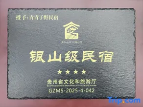 Xingyi QingqingYuye Homestay - Image 5
