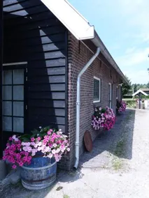 Boerderij Honswijck - Image 5