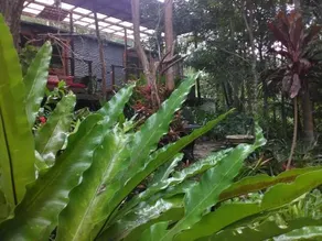 Waterfall Hideout - Image 5