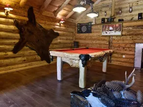 Amazing chalet in the middle of intact nature, private pool, sauna, garden, BBQ - Image 5
