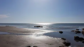 Clustiau'r Mor - Image 3