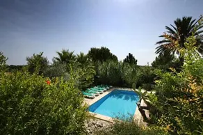 Son Pereto - Image 3