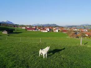 Cosy Apartment on the 1st Floor in the Allgäu With Garden use - Image 2