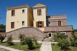 Olive Grove - Image 1