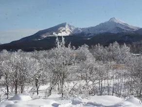 Petit Hotel Hoshino Sizuku - Image 4
