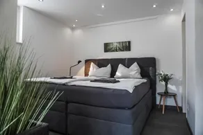 Neu gebautes Apartment mit Sonnenterasse in der Nahe vom Siebengebirge & Bonn - Image 4
