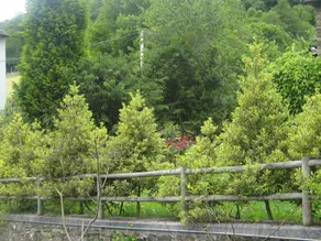 Apartamentos Rurales Cibuyo - Image 4