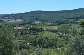 Damario Panorama - Image 4