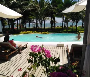 Entre Palmeras - Image 3