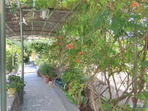 Aegina Finikas Apartments - Image 4