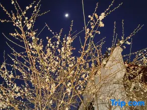 Xiyuan Homestay - Image 2