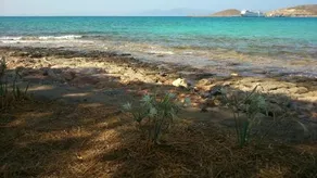 Astarte Sea Villas - Image 3