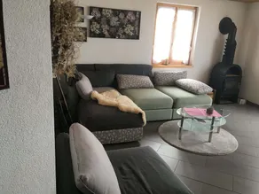 Luxurious Chalet in Habkern with Private Garden - Image 3